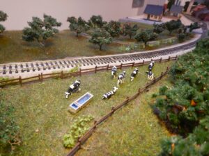 Heimat für die Kuhherde